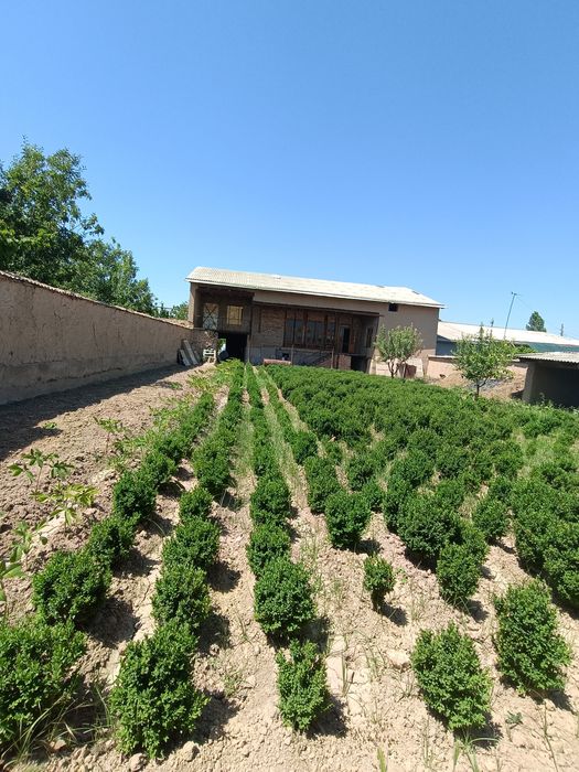 Продается участок Кибрай Чинават