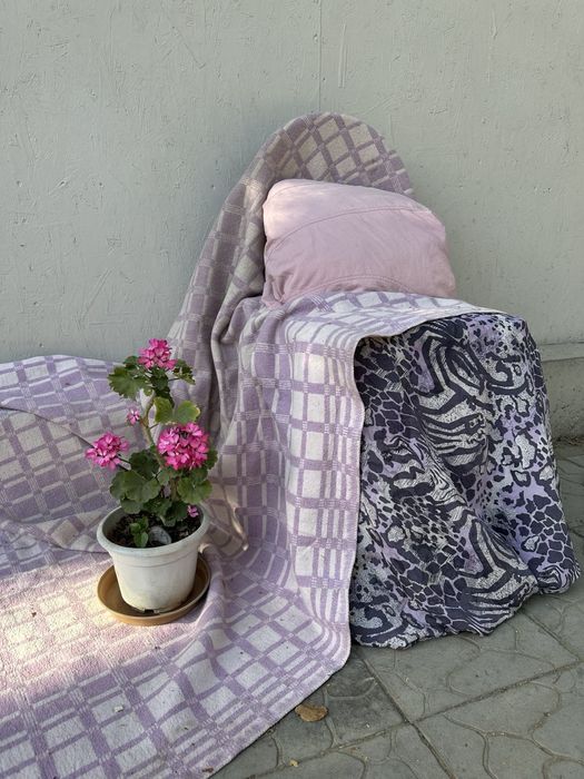 Продам розовую герань — живая красота для вашего дома!