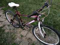 Bicicletă MOON ADRIA 26"