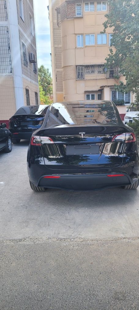 Tesla model "Y" dual motor long range. Тонировка+брониплёнка
