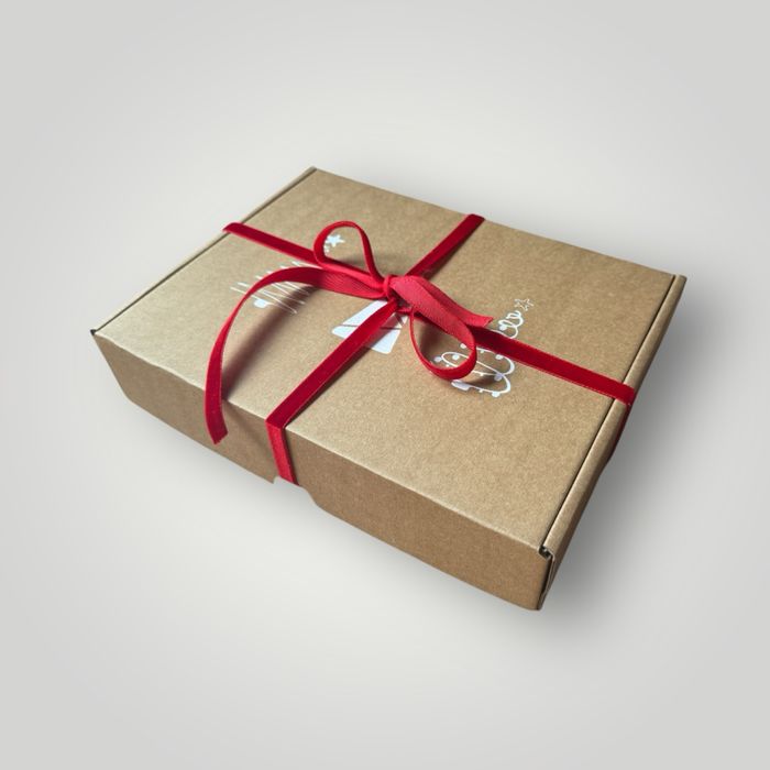 Магическа коледна кутия (elf on the shelf)