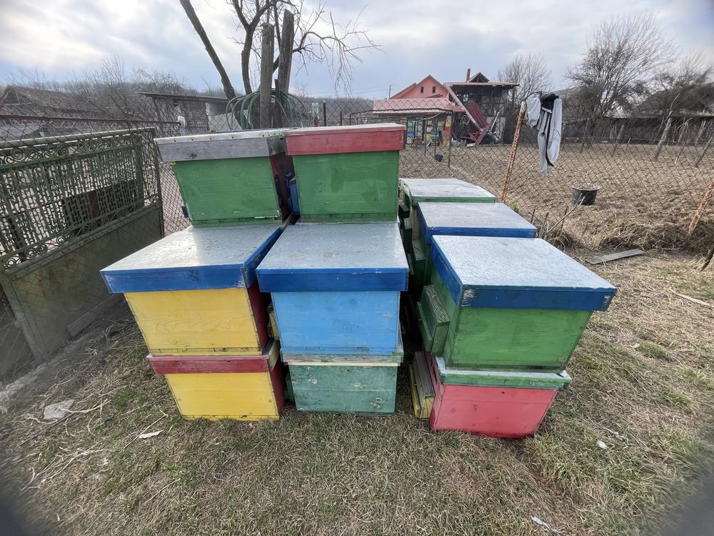 Vand cutii stupi 40buc