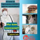 Дезинфекция дезинсекция клоп таракан мышь насеком дизинфекция муравей