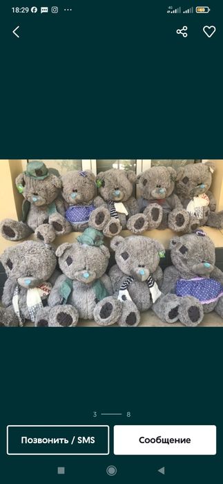 Teddi Teddy ayiqchalar (50sm 3m)