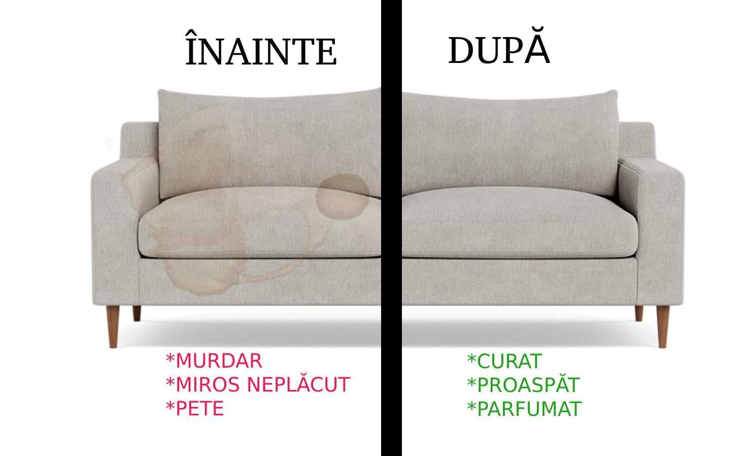 Curățare, spălare, igienizare canapele, fotolii, auto!