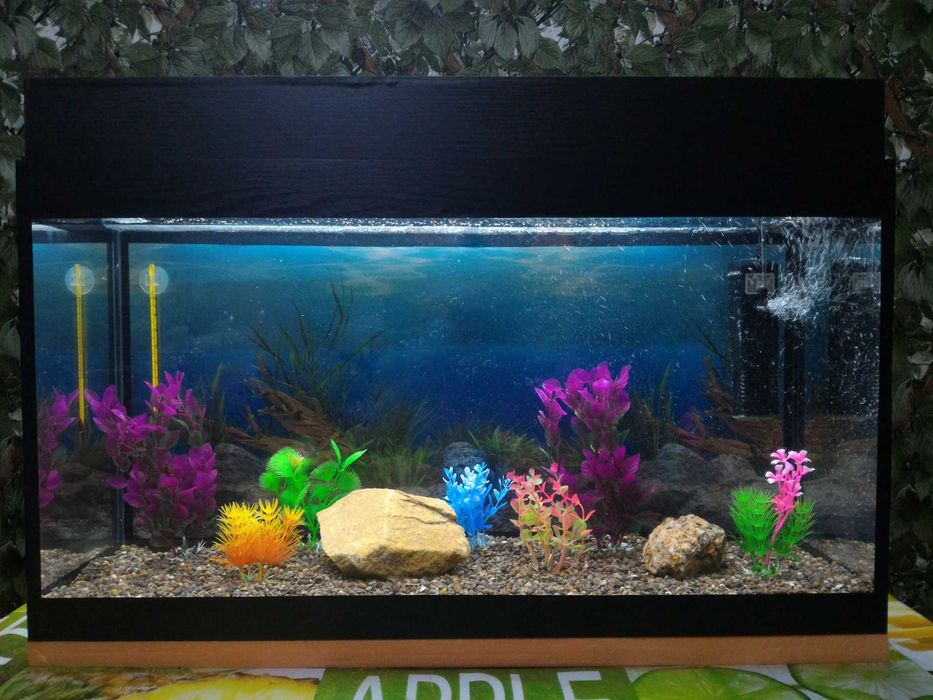 Аквариум 48 л. с рыбками и растениями, с крышкой и подсветкой НОВЫЙ