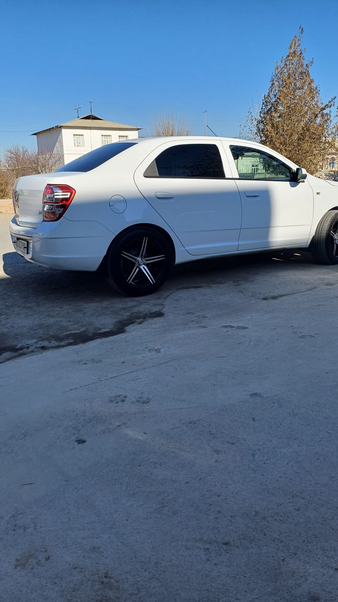 Vossen 17 Cobiltga pramoy tushadi 8 ming klm yurgan