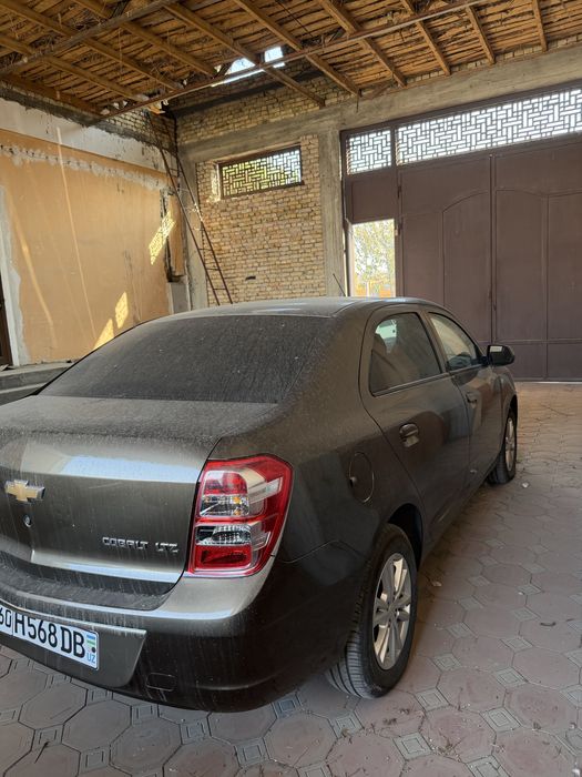 Cobalt 2023 yil kuzf 2024