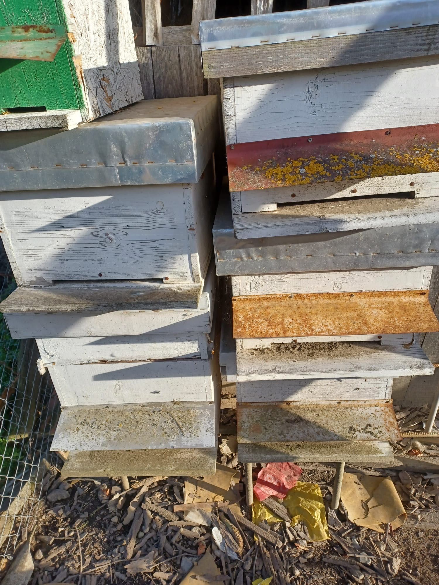 lăzi de albine+ magazii
