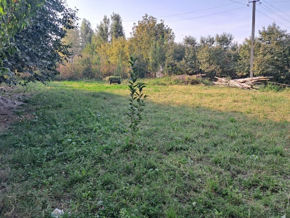 Продётся участок