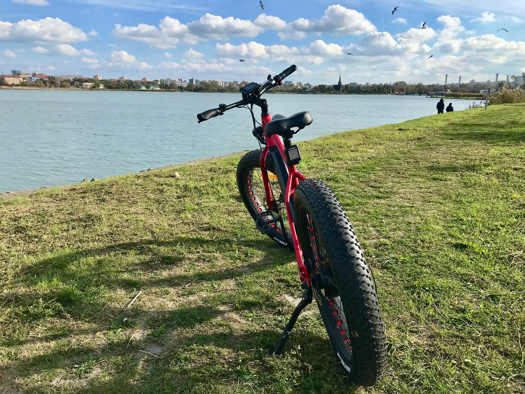 Bicicleta Electrica Pegas Suprem Dinamic - Rosu Mat - Noua