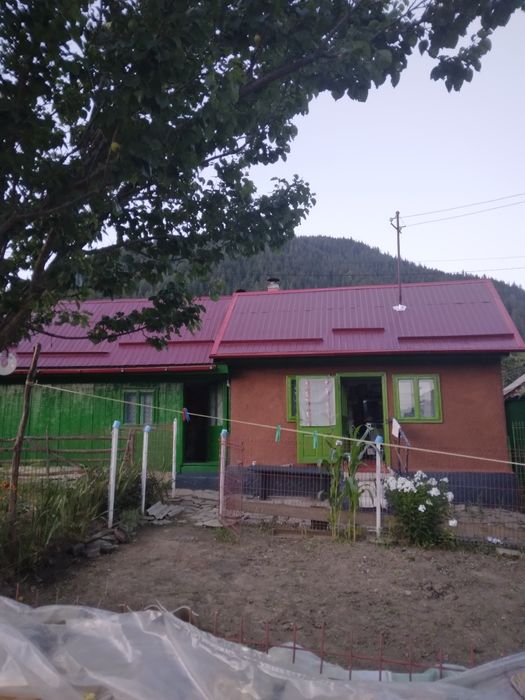 Casă de vânzare din lemn 1800mp
