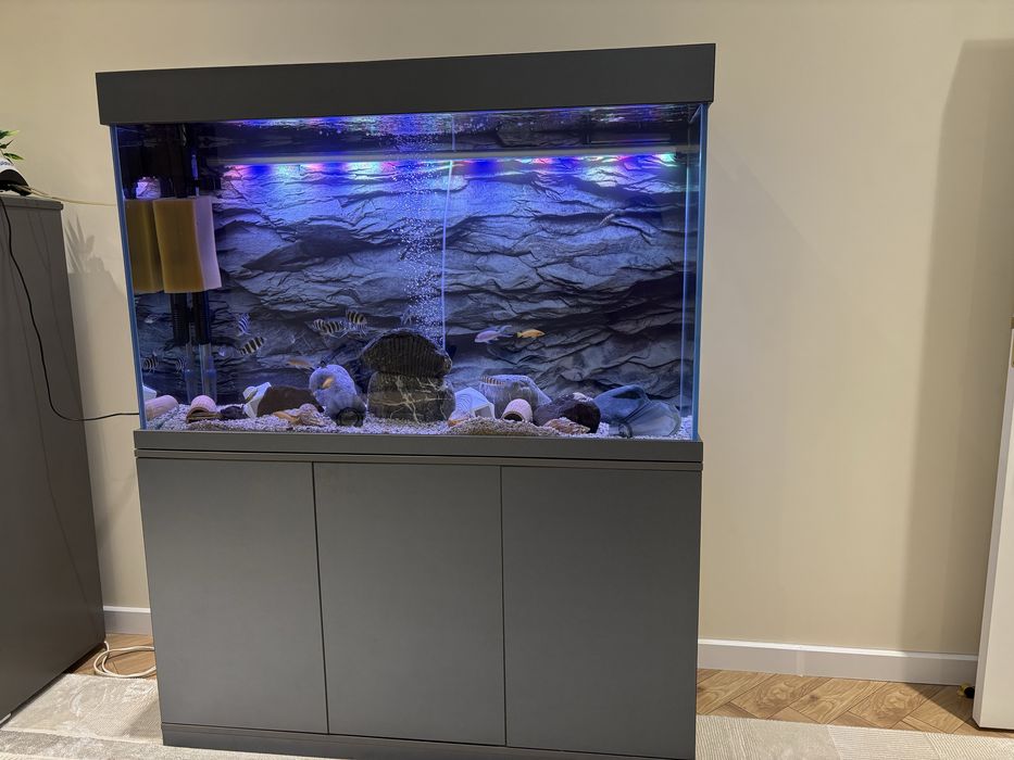 Akvarium 370lt komplekt зур холатда ойнаси 10 лик оптивайт хитой