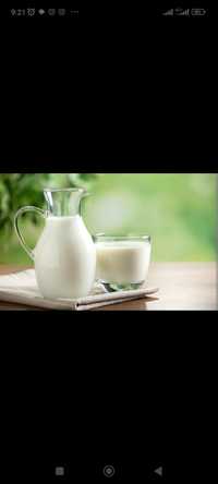 Домашнее молоко жирное
