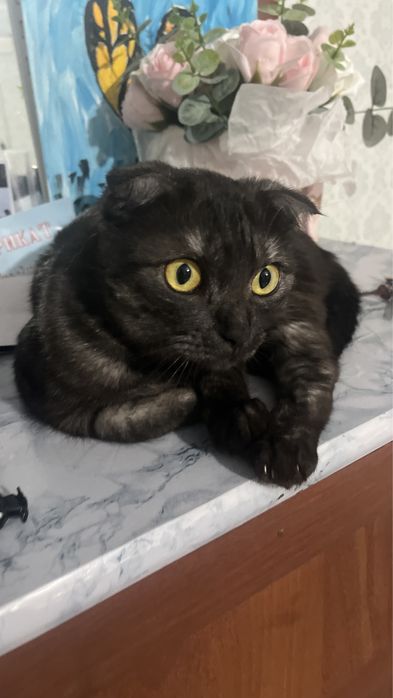 Одам даром добрый руки