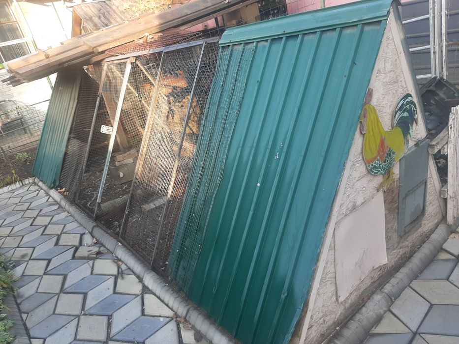 Добротный выгул для кур