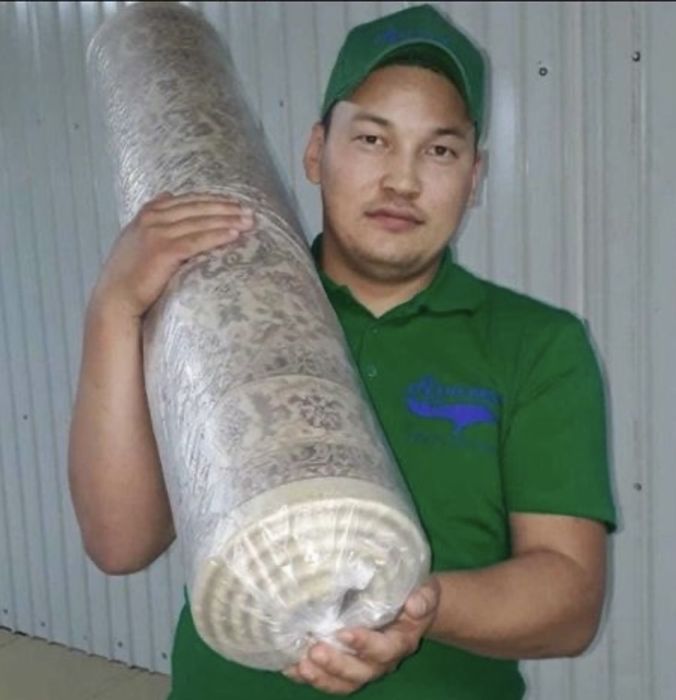 Стирка, чистка Ковров. Видеоотчет с вашим ковром.