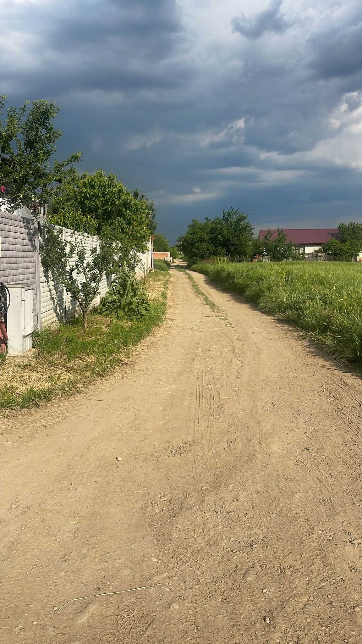 Teren Intravilan Magurele