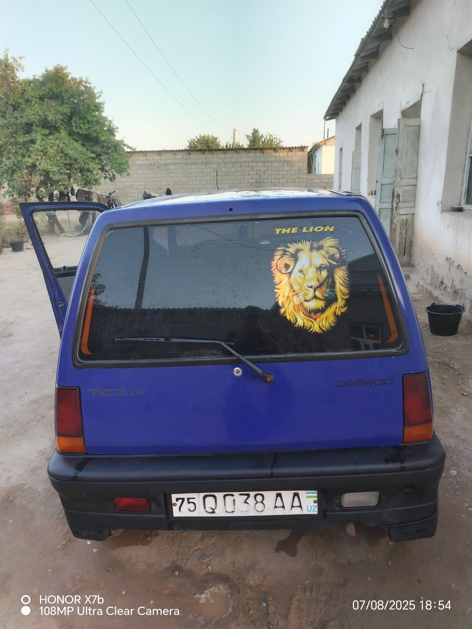 Tico xamma joyi juda guzal xolatda kami yuq