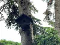 Дървена къщичка (къща) за птици