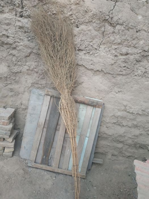 Katta spurgi sotiladi