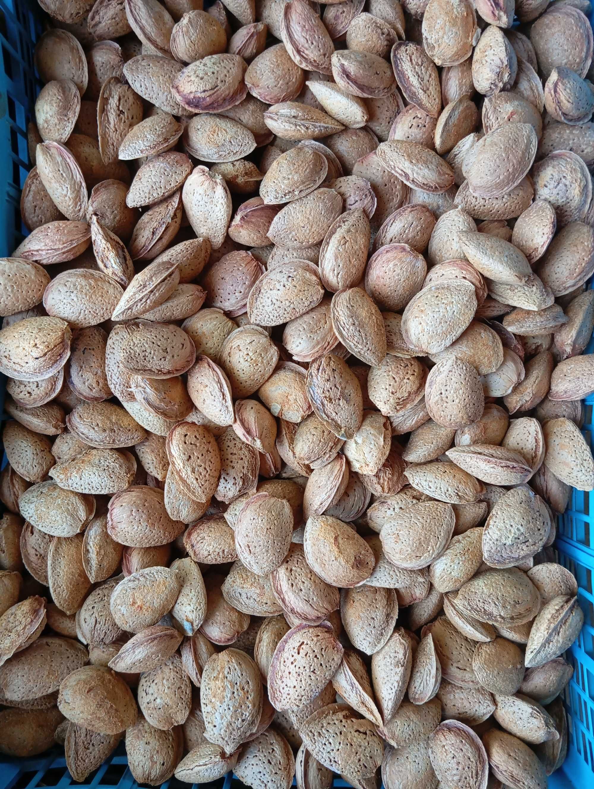Продавам бадеми с черупка (8лв./ кг.)