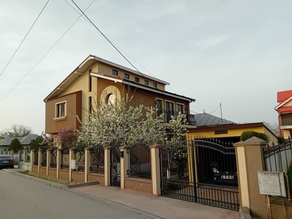 Doua case in Balș, la preț de una