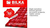 Bilka-Tigla Metalica 31 lei/MP