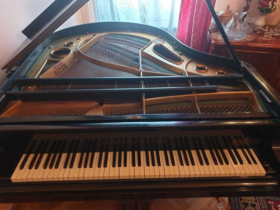 Vand pian vienez cu coada scurt