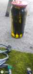 Injectoare Delphi euro 4 dacia