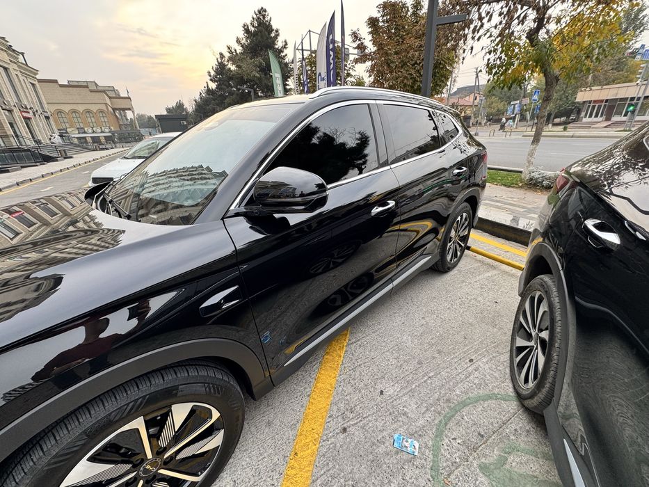 BYD Chempion smart 2025/26