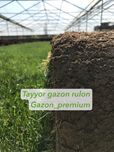 Tayyor gazon rulon osmotr+dostavka+ ustanovka