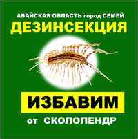 Дезинфекция сколопендр уничтожение клопов тараканов блох