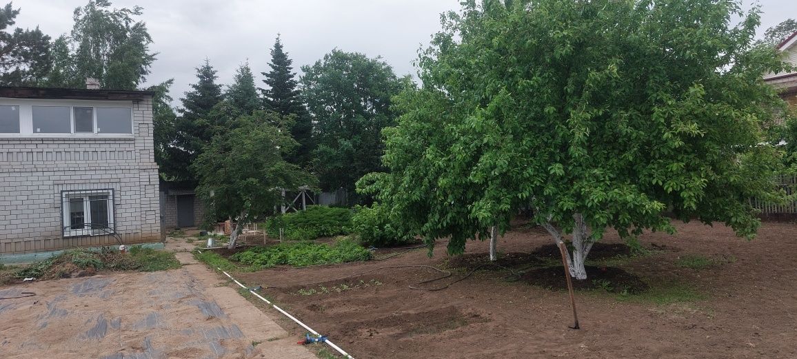 Продам дои в садоводстве Иртыш