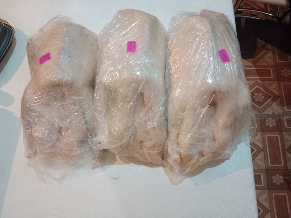 Гуси тушками 12000