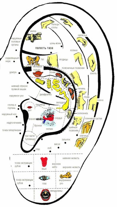 Аппараты "Тянь-Шань"  - для диагностики и лечения