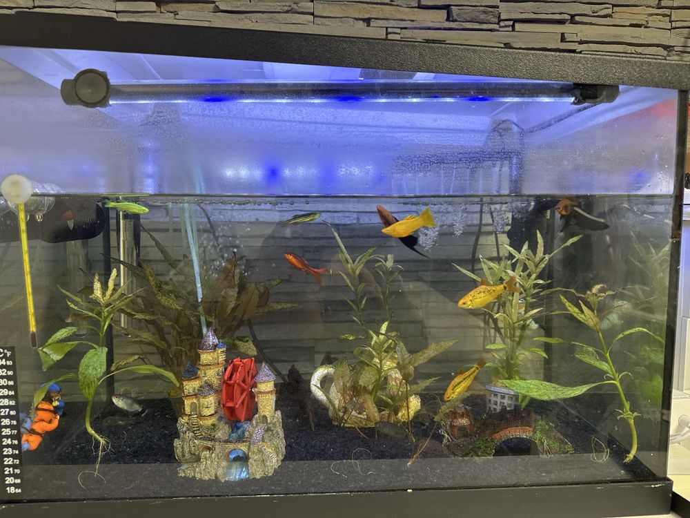 Acvraiu 70 l. Cititi descrierea