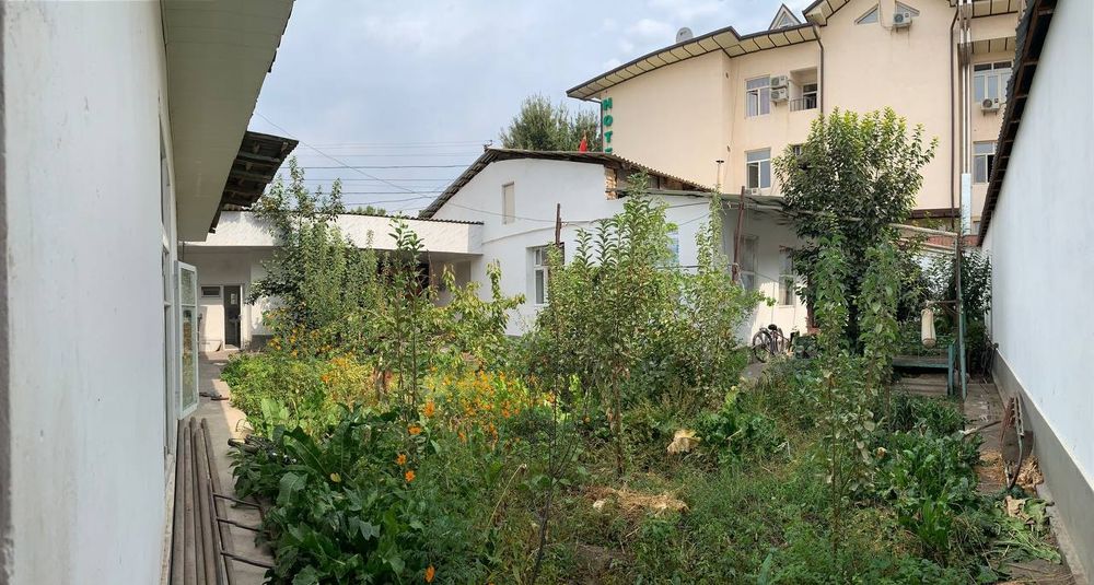 Срочно  Мирабадкий район