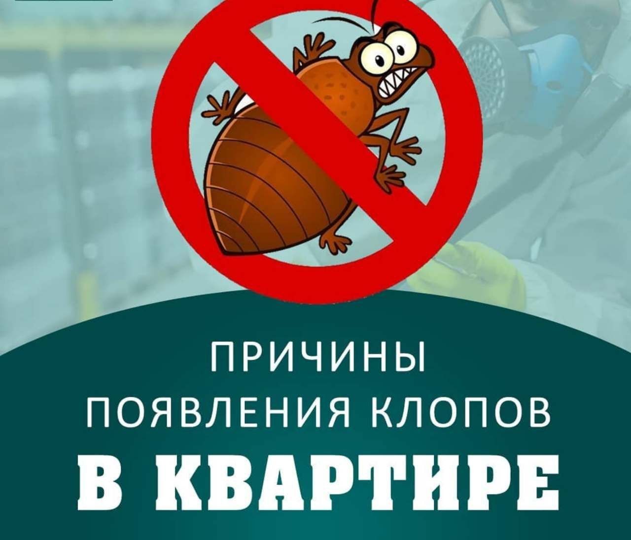 Dezinfeksiya Дезинфекция дизинфексия dizinfeksiya xizmati