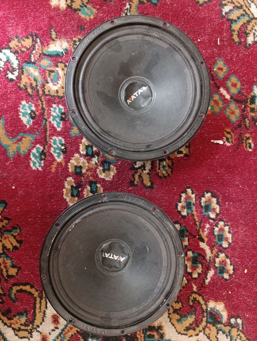 Avatar kalonka 16 sm