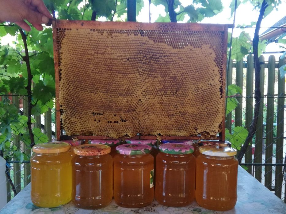 Miere de albine direct din stupina