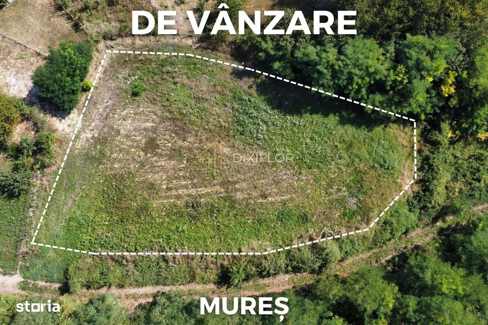 Teren intravilan cu vedere panoramică | Morești