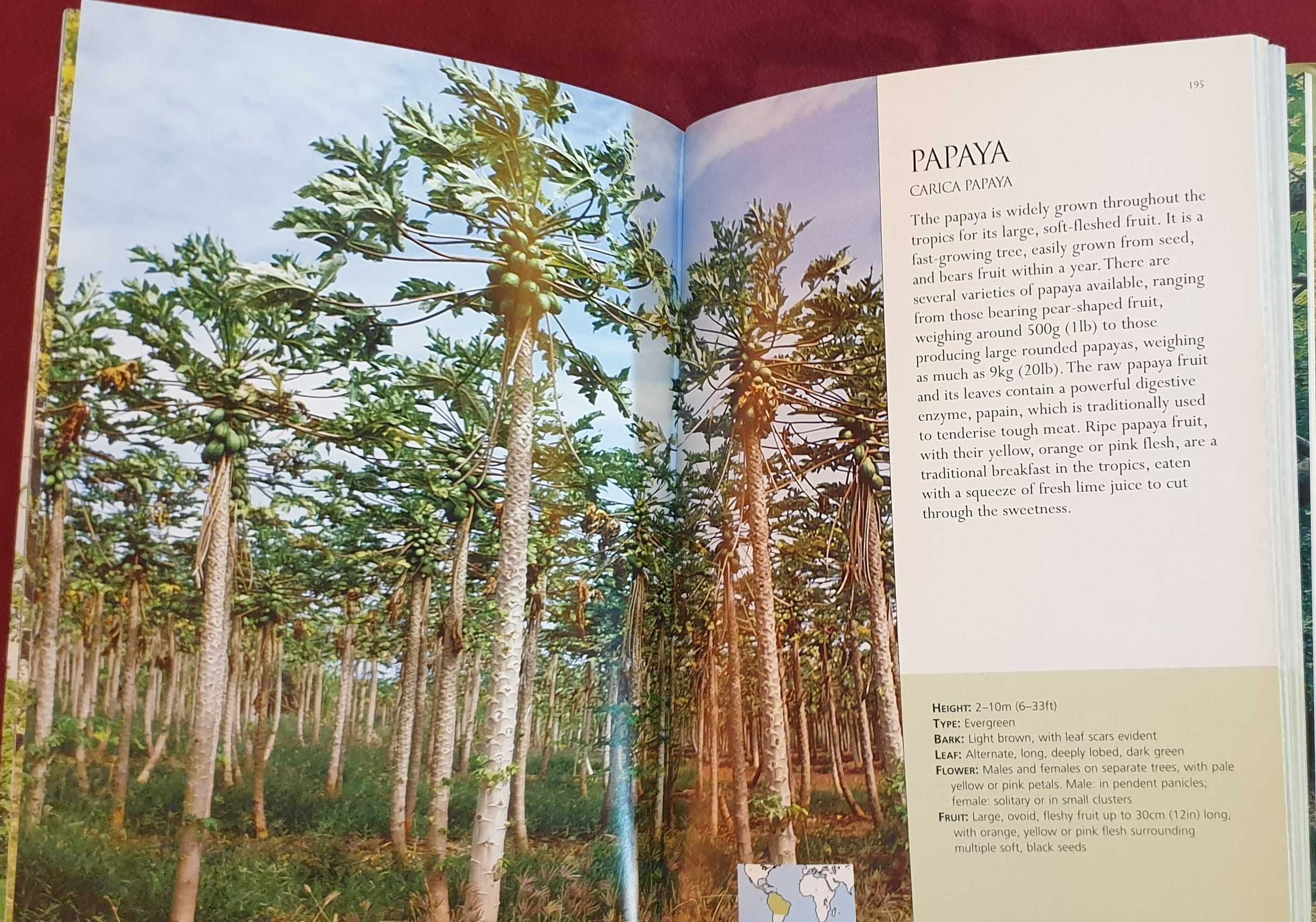 Справочник на дърветата по света / A Concise Guide to Trees