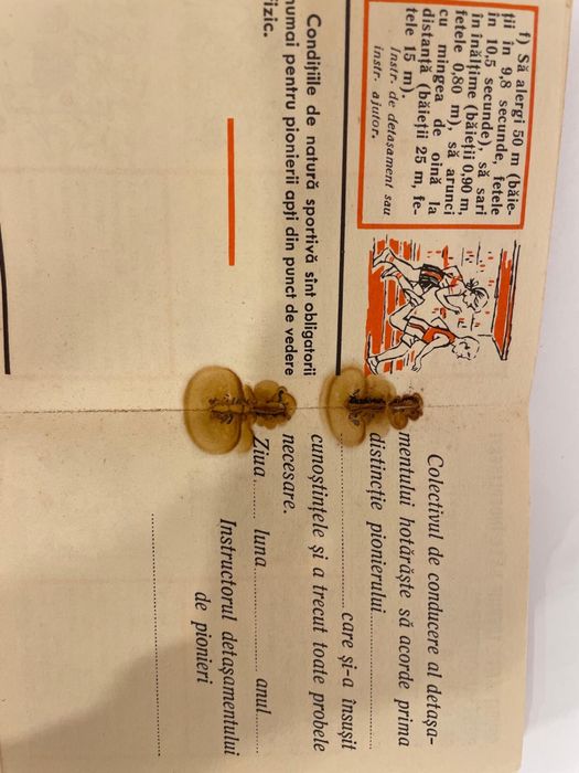 carnet de pionieri