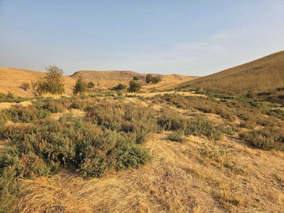 Продается 16 соток земли в Юкори Чирчикском районе