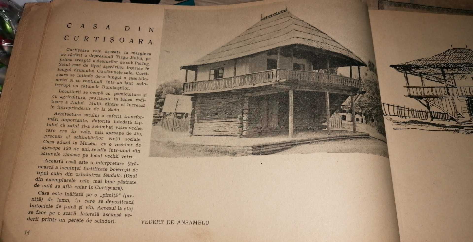 Arhitectura din muzeul satului 1955