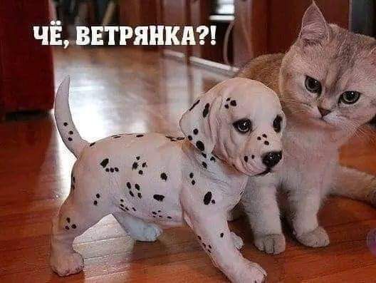 Мастер маляр или отделка