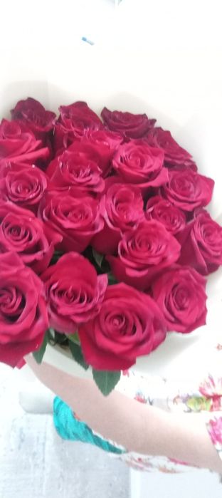 Продам цветы свежие