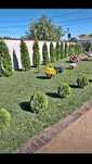 Plante pt plantat