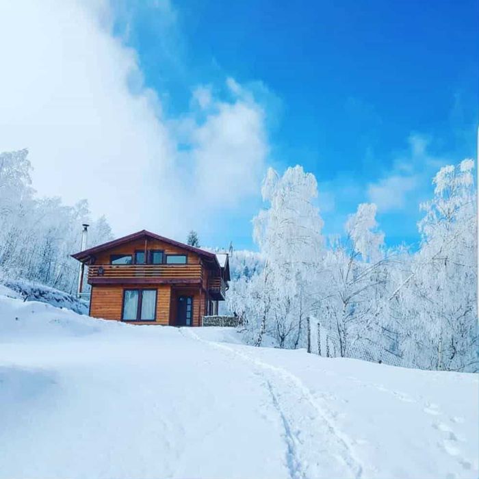 Cabana de închiriat pentru Revelion